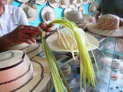 2025-panama-69.JPG (35847 octets)
