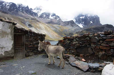 Bolivie2018-53.JPG (153752 octets)