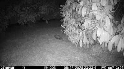 Camera-A-2025-1-PHfouine.JPG (19263 octets)