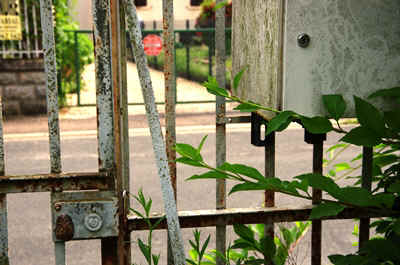 MaisonM-2013-24.JPG (144175 octets)