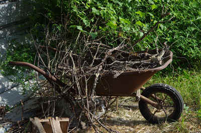 MaisonM-2013-7.JPG (138767 octets)