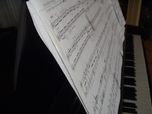 Music2.jpg (38890 octets)