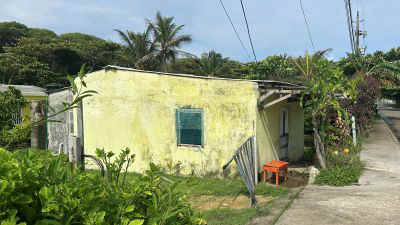 SanAndres2025-43.jpg (28017 octets)