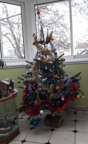 Sapin2018.jpg (75572 octets)