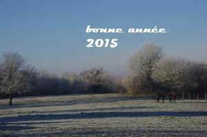 bonne année 2015-3.JPG (63555 octets)
