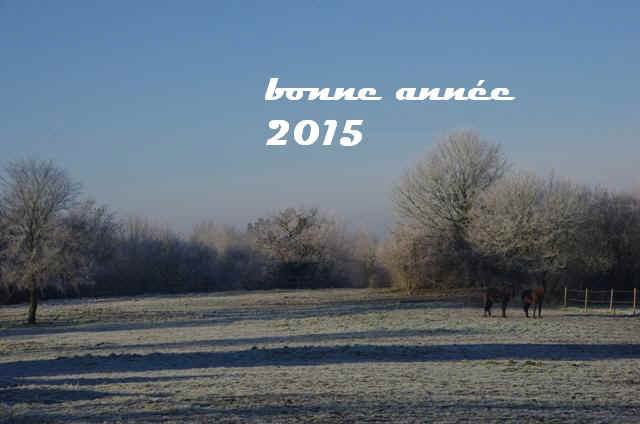 bonne anne 2015.JPG (89651 octets)