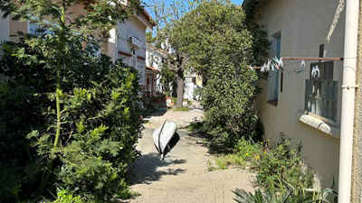 Argeles2026-6.JPEG (63275 octets)