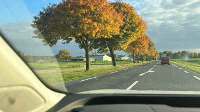 Rimbaud2025-22.jpg (21667 octets)