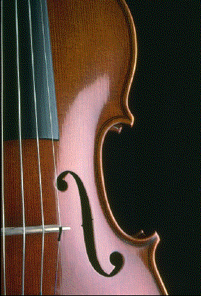 violon.gif (57259 octets)